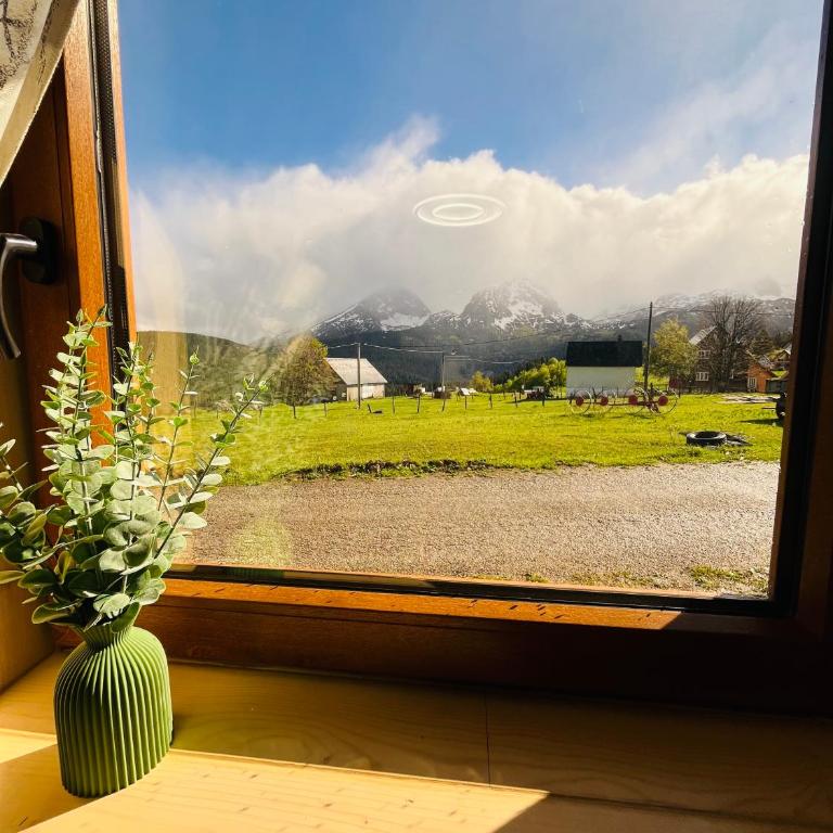 Aura Durmitor apartments - One-Bedroom Apartment - 2