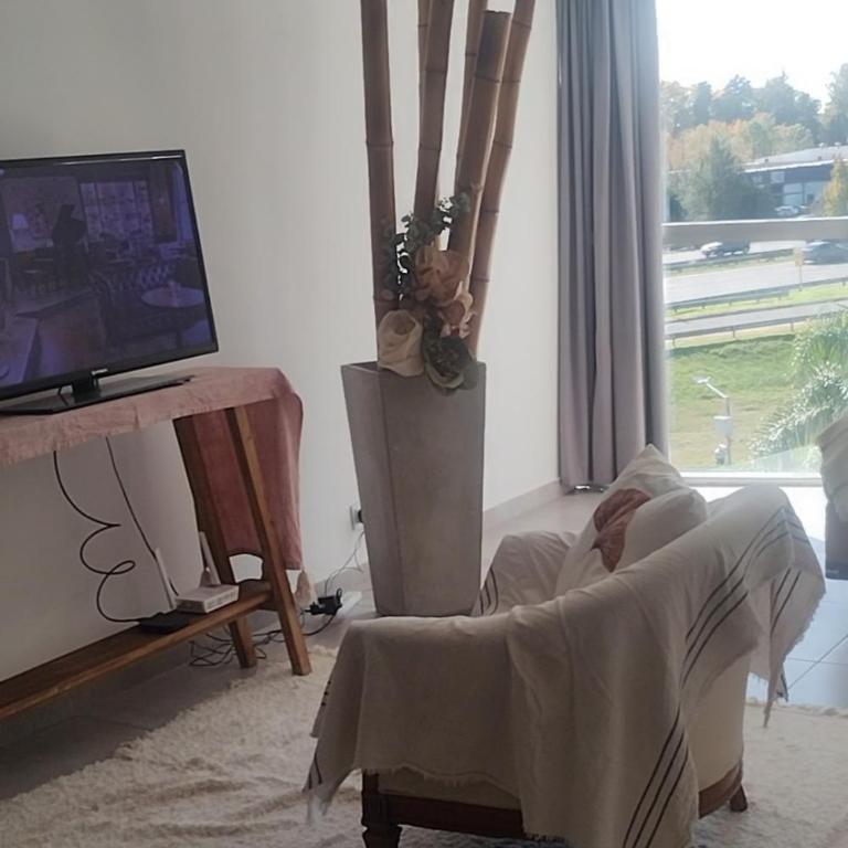 Dpto - Apartamento de 1 dormitorio - 4