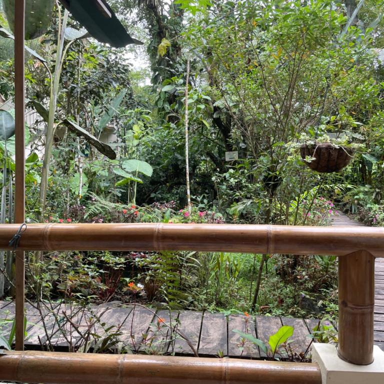 Casa del Rio en MINDO - Family Room with Garden View - 1