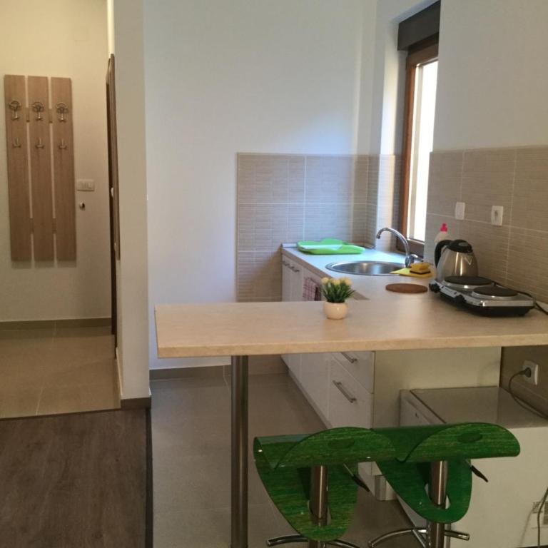 Olive Terrace Apartments 3 Rafailovici - Economy Apartment - 13