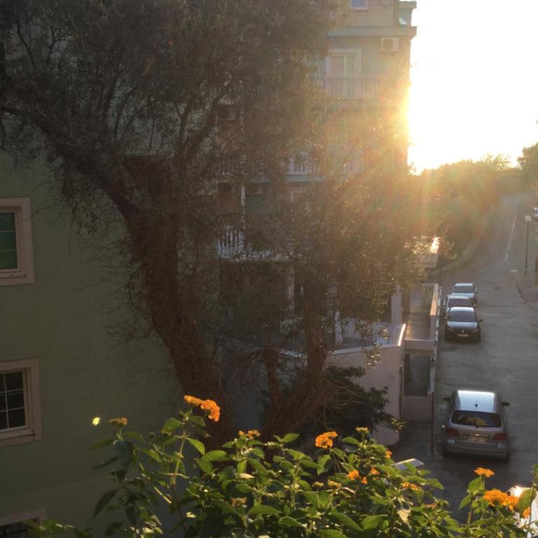 Olive Terrace Apartments 3 Rafailovici - Economy Apartment - 16