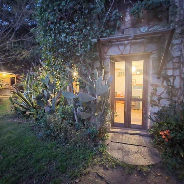 Secret Garden - One-Bedroom Apartment - 3
