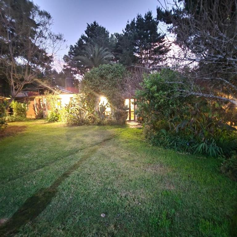 Secret Garden - One-Bedroom Apartment - 4