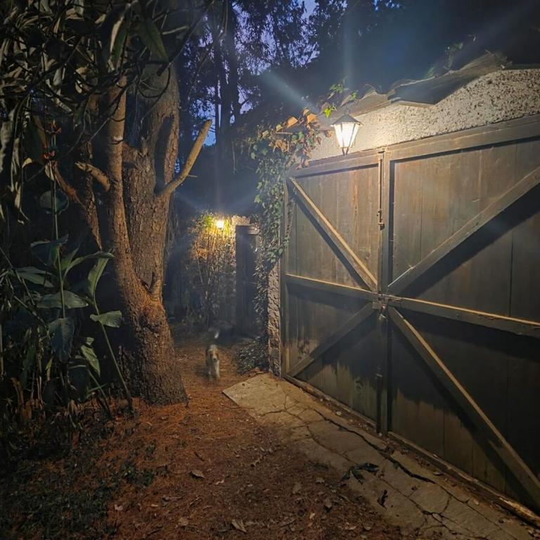 Secret Garden - One-Bedroom Apartment - 9