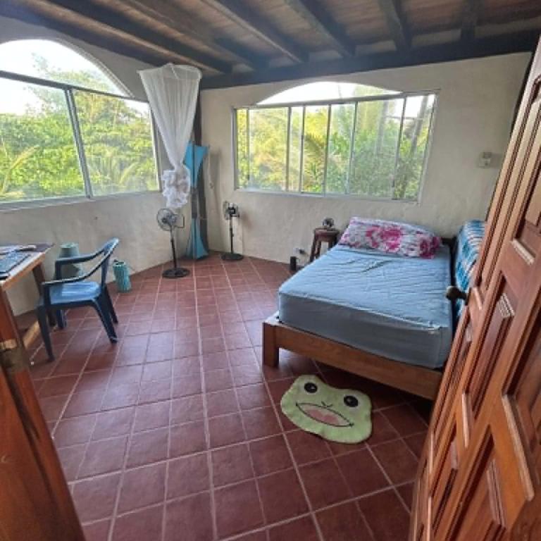 playa papaya - Family Room with Garden View - 1