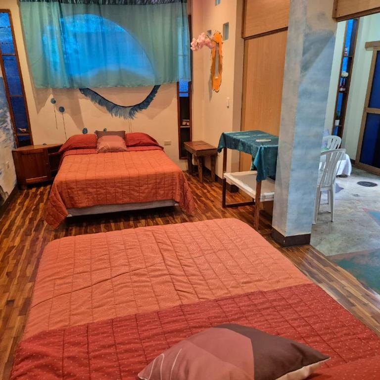 Cozy Hosting Galapagos - Apartamento - Planta baja - 27