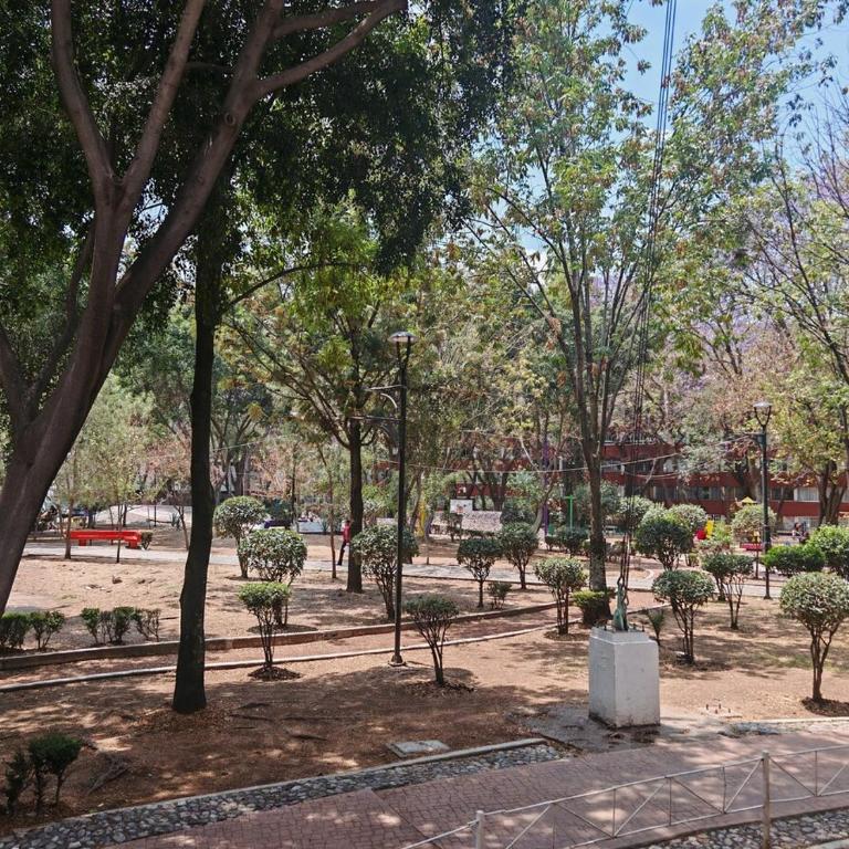 El Reyna Increíble Dept de 120 mts en Tlatelolco - Apartamento de 2 dormitorios - 44