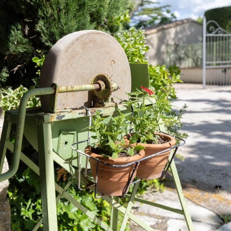 Lou Cigalon Mas provençal avec piscine - Maison de Vacances - 9