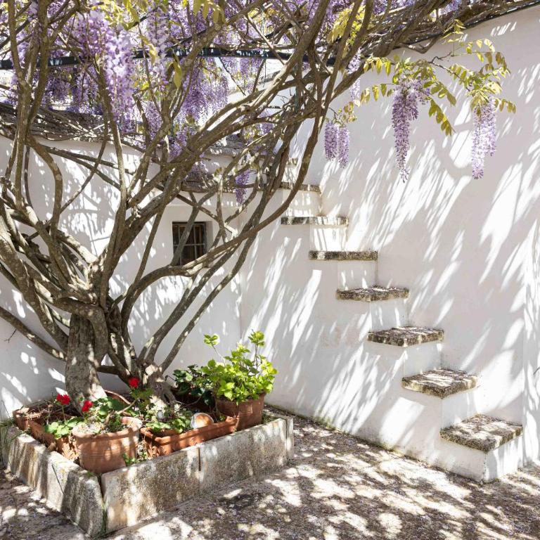 I Trulli della NaturaBio - Trullo with Private Pool - 4