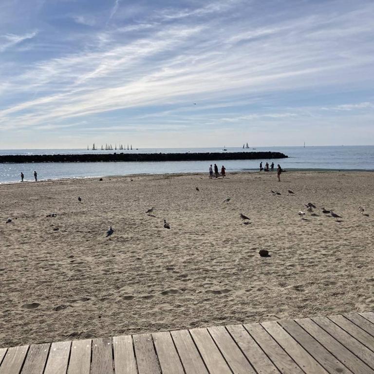 Appartement vue mer - 4/5 pers. - FR-1-880-23 - Apartment - 9