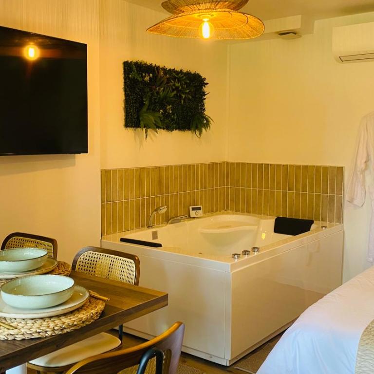 Appartement Suite Ananda, Spa Balnéo, vue lac, parking gratuit, cuisine tout équipée, wifi, refait à neuf tout confort, idéal pour une escapade détente - Apartamento de 1 dormitorio - 14