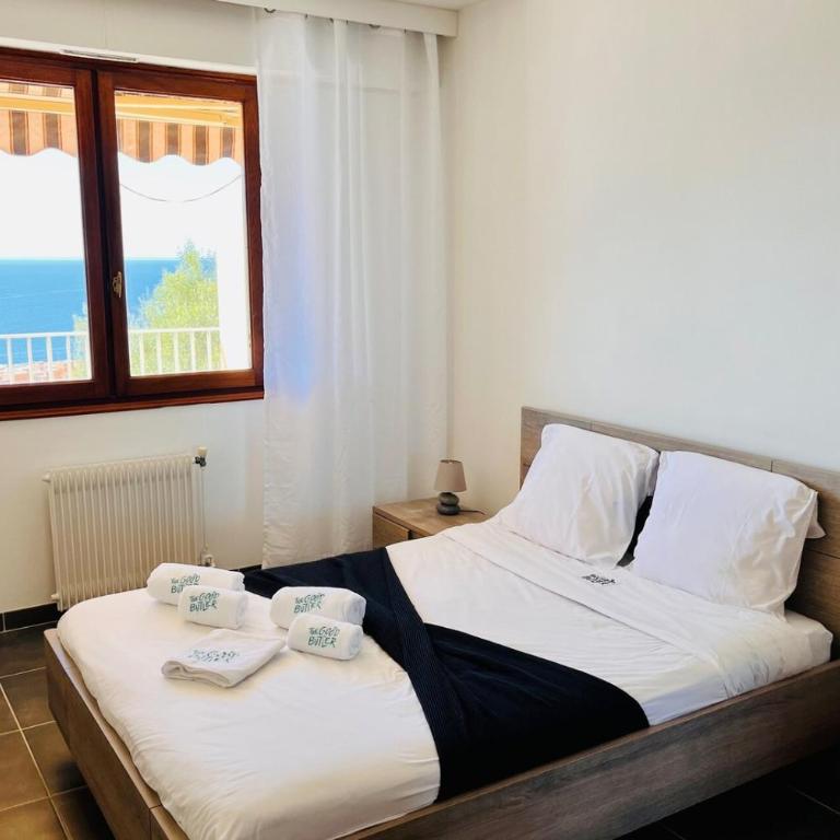 Dany - Apartment with large balcony and sea view - Appartement - 11