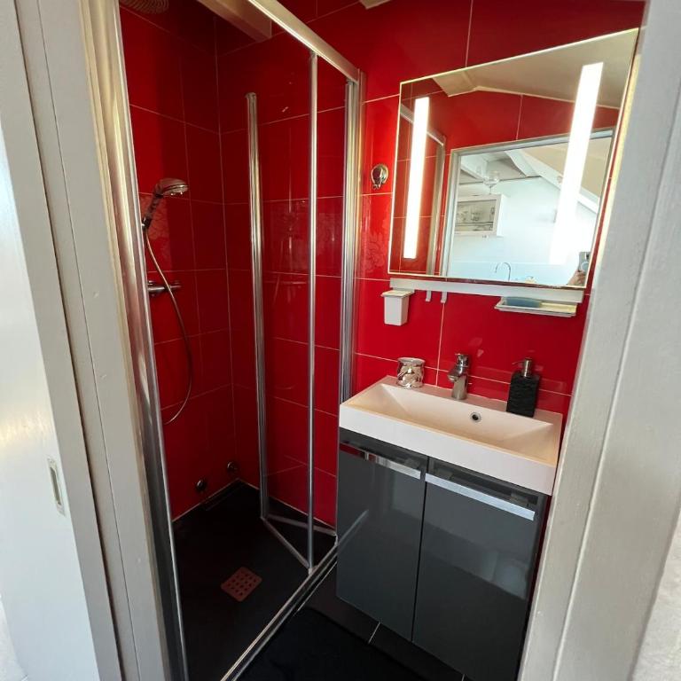 Cosy at Home air-conditioned studio, near Annecy - Appartement 1 Chambre - 5