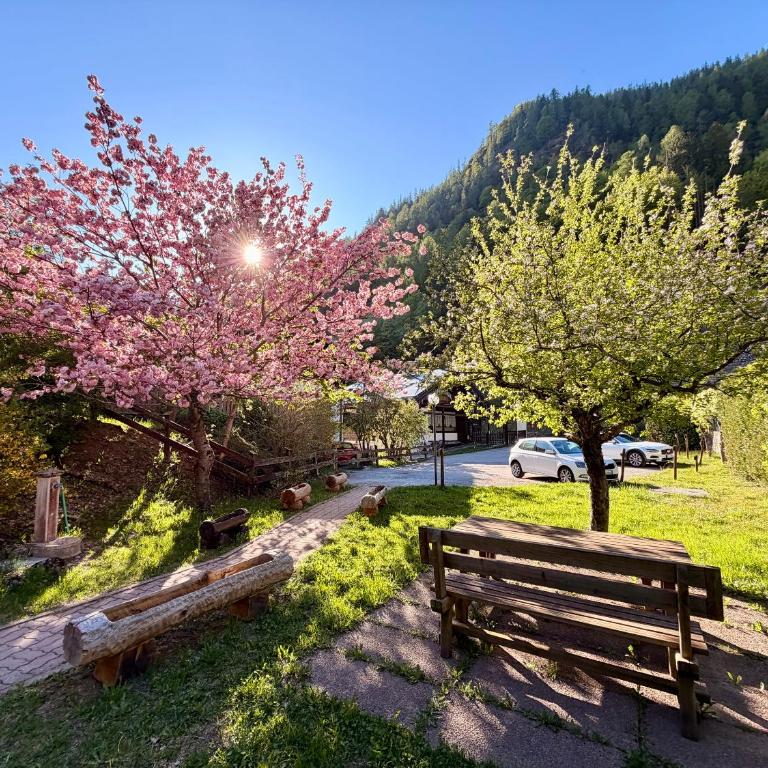 Dolomites Soundscape - Birds River Snow Ski Bus Bike Hike - Appartamento con 2 Camere da Letto - 7