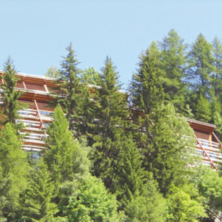Alpine Duplex Mountain Escape - Appartement 3 Chambres - 10