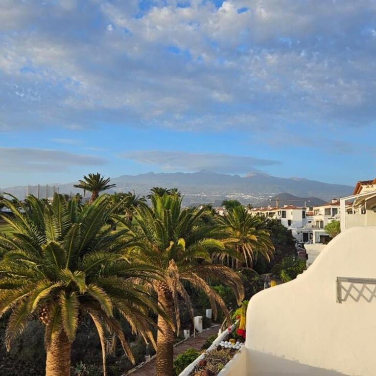 Amarilla Golf Apartamento, Tenerife Sur - Apartamento de 1 dormitorio - 29
