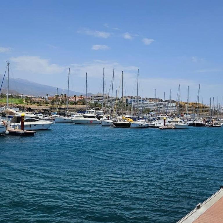 Amarilla Golf Apartamento, Tenerife Sur - Apartamento de 1 dormitorio - 40