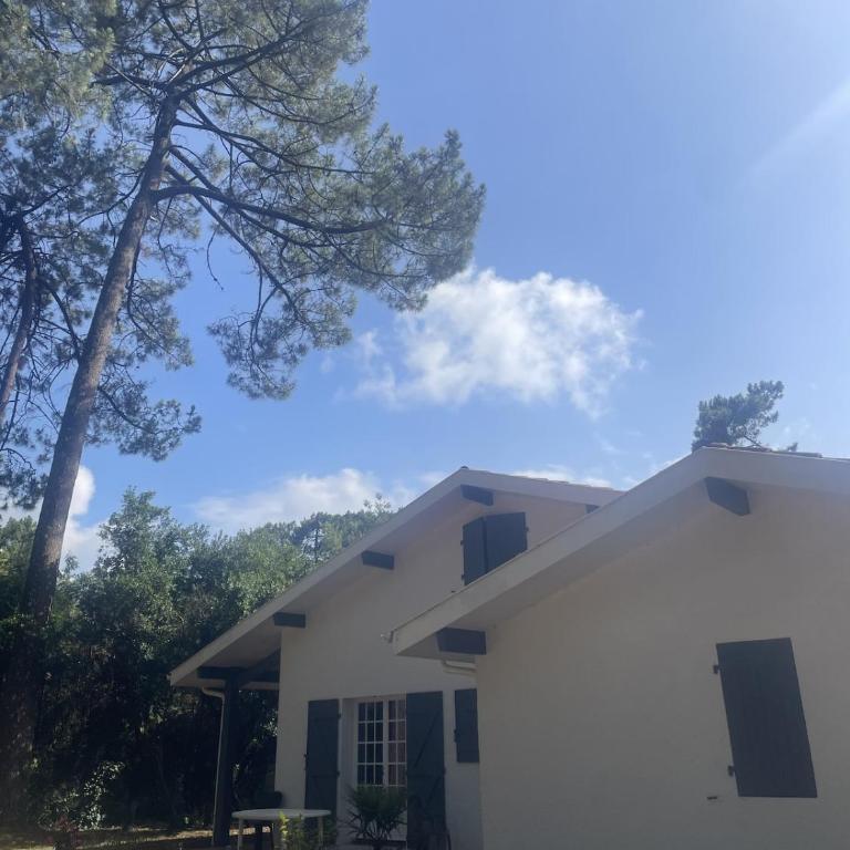 Grande maison de vacances avec jardin - Maison 4 Chambres - 2