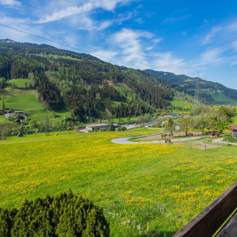 Huberhof 6 by Alpenidyll Apartments - Apartment mit Blick auf die Berge - 3