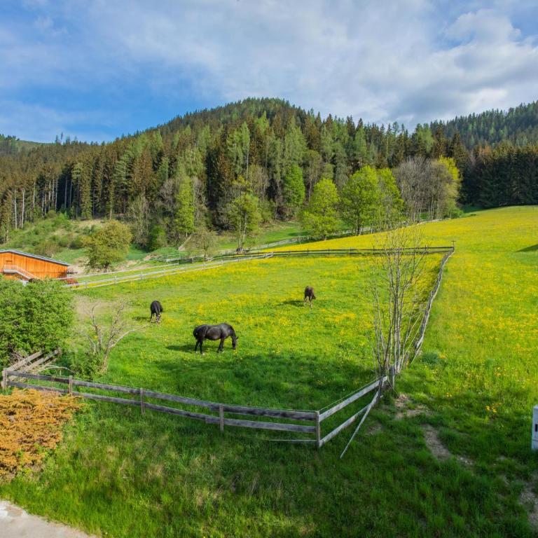 Huberhof 8 by Alpenidyll Apartments - Apartment mit Blick auf die Berge - 11