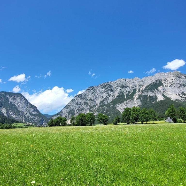 Stodertraum 1 "Vergissmeinnicht" by Alpenidyll Apartments - Casa Vacanze - 17