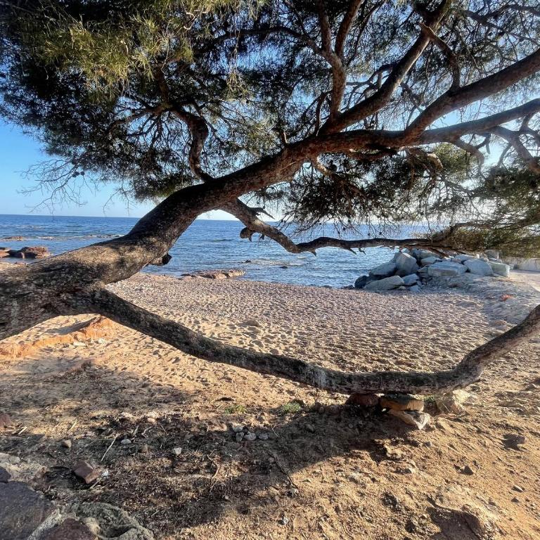 La Villa Chante Brise - proche de la plage - Calme - Two-Bedroom House - 14