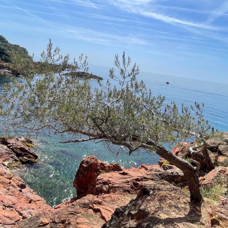 La Villa Chante Brise - proche de la plage - Calme - Two-Bedroom House - 20
