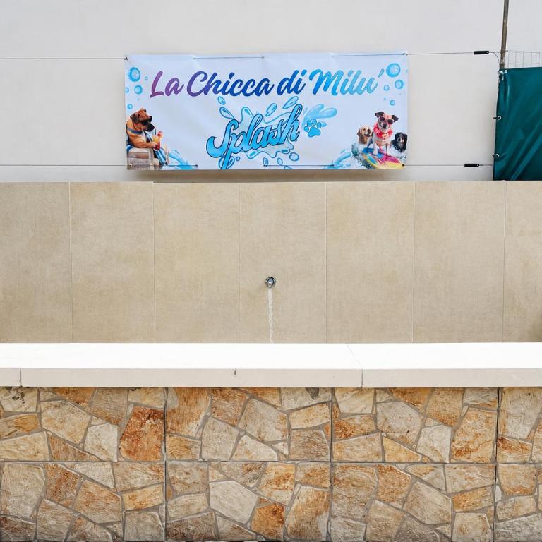 B&B La Chicca di Milu' for Pet Lovers, un'oasi pet-friendly tra mare e campagna - Camera Deluxe - 8