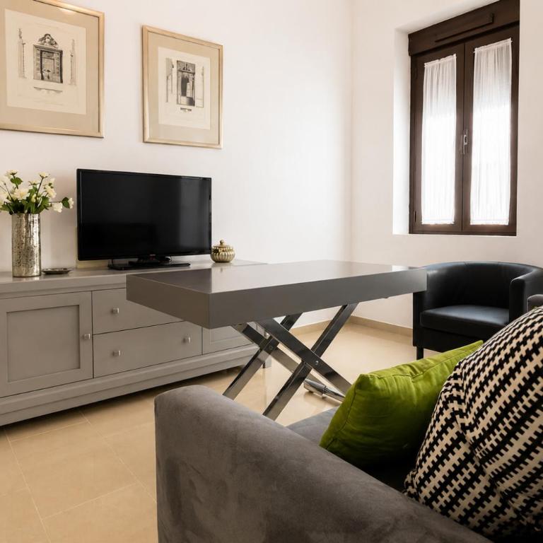 Apartamentos Plaza Nueva - Apartamento de 1 dormitorio con terraza - 6