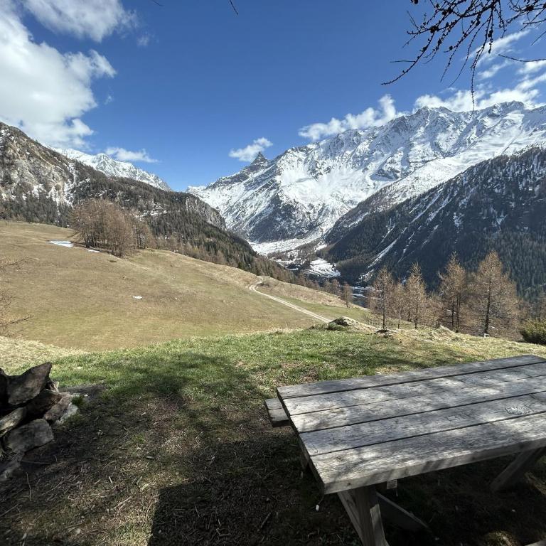 Chalet les Niverolles PARADISKI - Chalet - 40