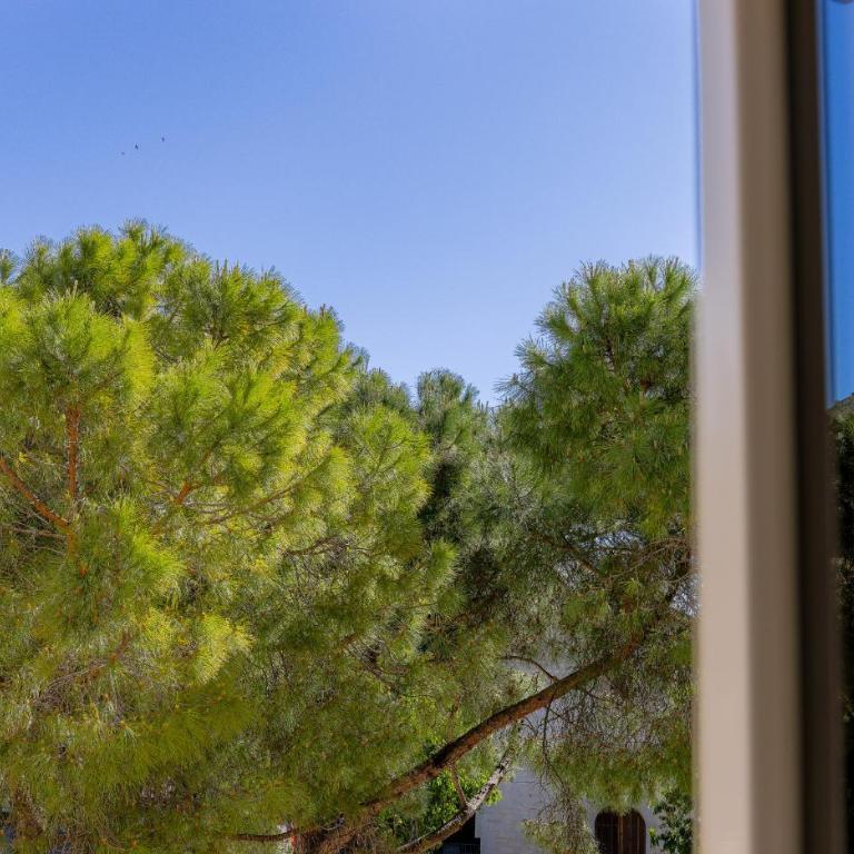 Apt Libelule - Appartement 1 Chambre Deluxe - 25