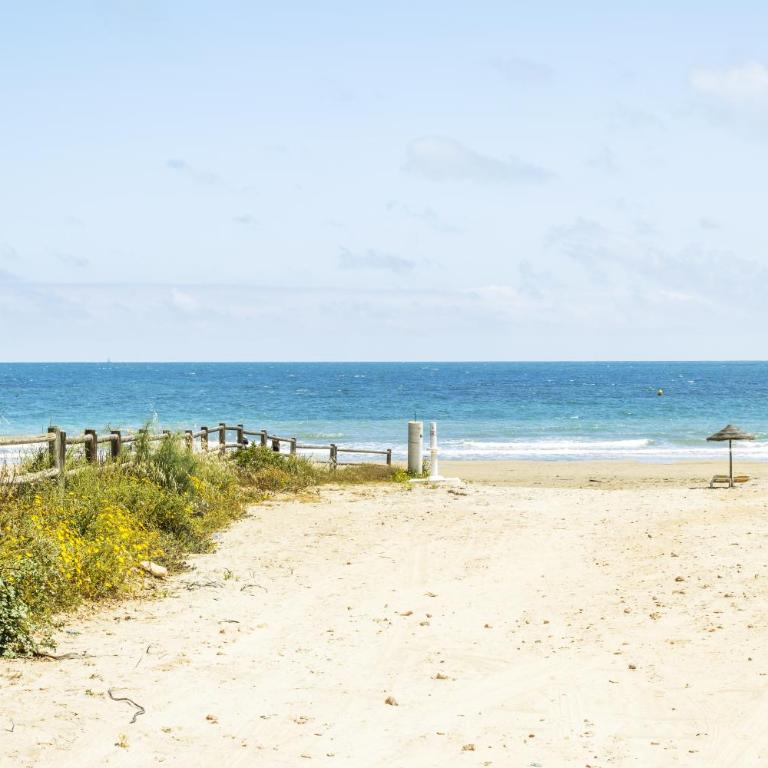 Groundfloor PInk Sunny beach - Apartment - Ground Floor - 50