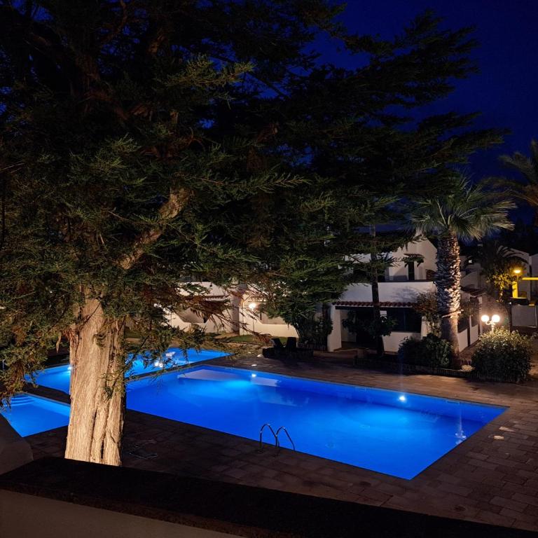Apartamento con Vistas a la piscina - Apartamento de 1 dormitorio con vistas al jardín - 41