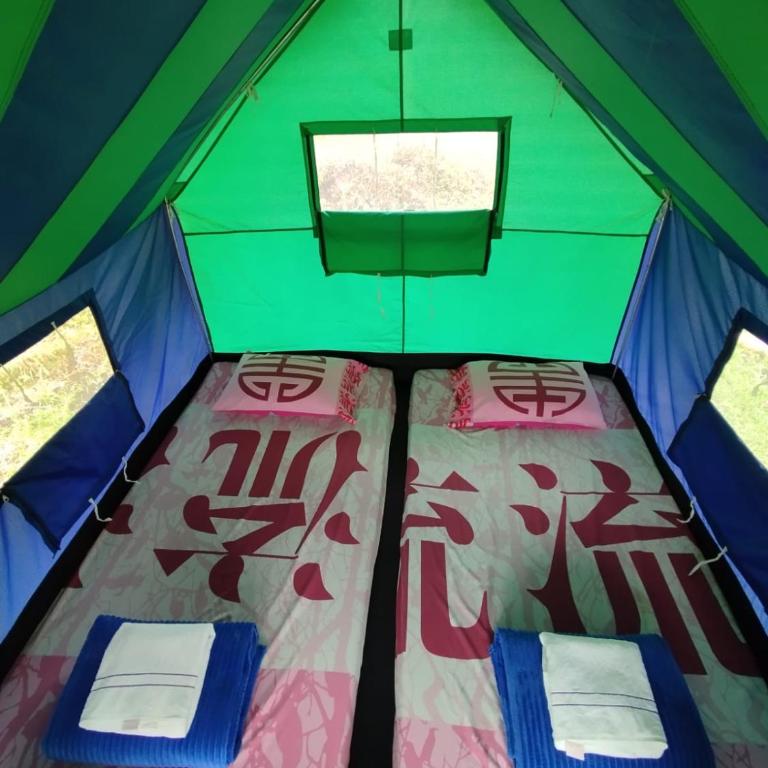 ECOXPLORA-Zona de camping - Tienda - 3