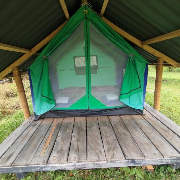 ECOXPLORA-Zona de camping - Tienda - 5
