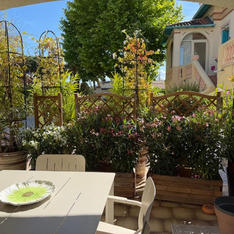 Studio cosy a 500m de la plage - Appartamento con 1 Camera da Letto - 2