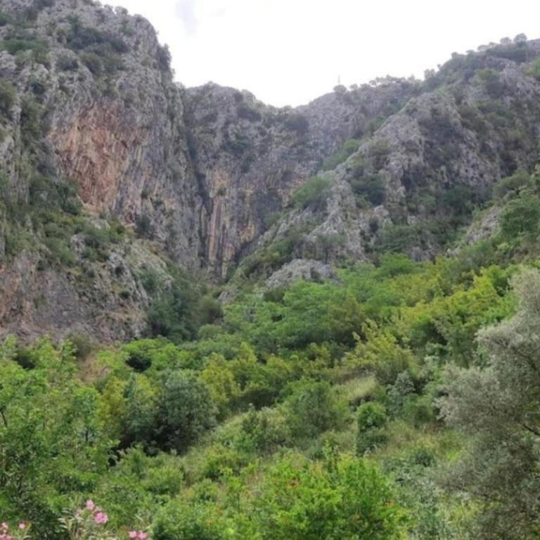 Nature Bay Apartment - Apartman sa 2 Spavaće Sobe - 3
