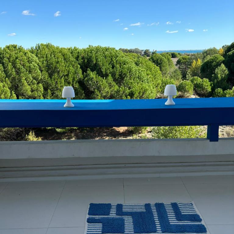 Vue mer, terrasse,clim, wifi, parking, piscine - Apartment mit 1 Schlafzimmer - 1
