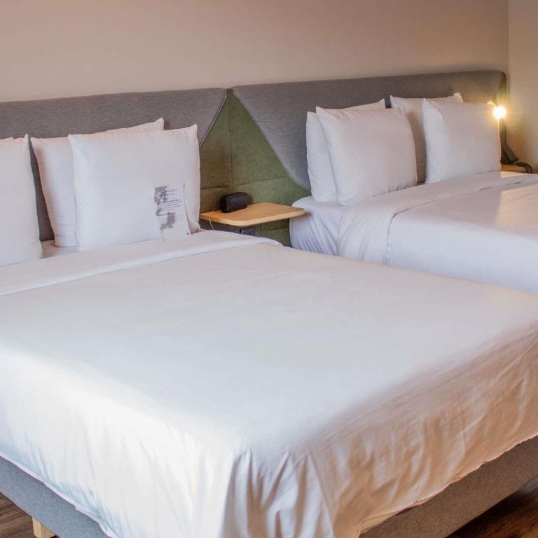 Novotel Monterrey Valle - Executive Double Room with Two Double Beds - 5