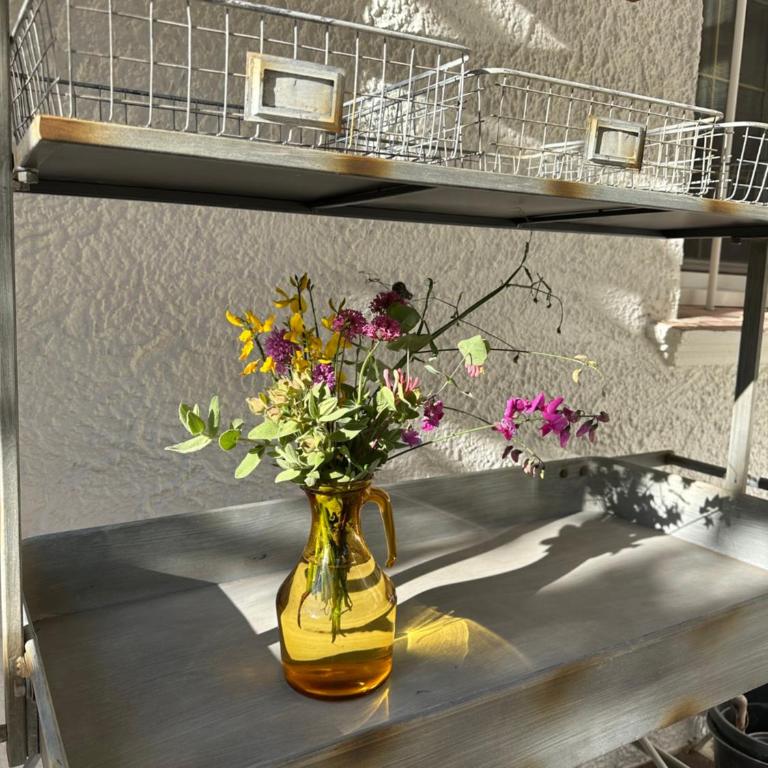 Les Pervenches - B&B Cottages en Lorgues - Studio avec Terrasse - 15