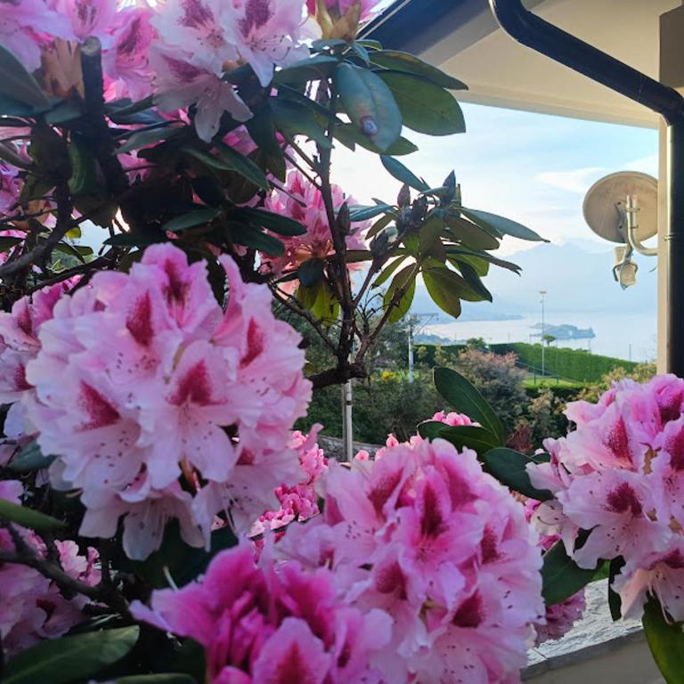 Lake Maggiore Gem Silvеr - Appartamento con 2 Camere da Letto - 20