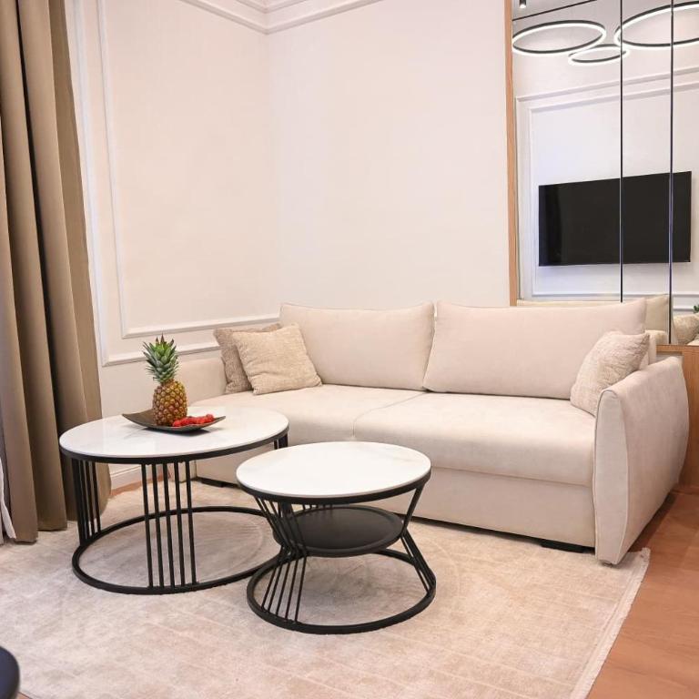 Tesla Luxury Apartment - Apartman sa 1 Spavaćom Sobom - 14