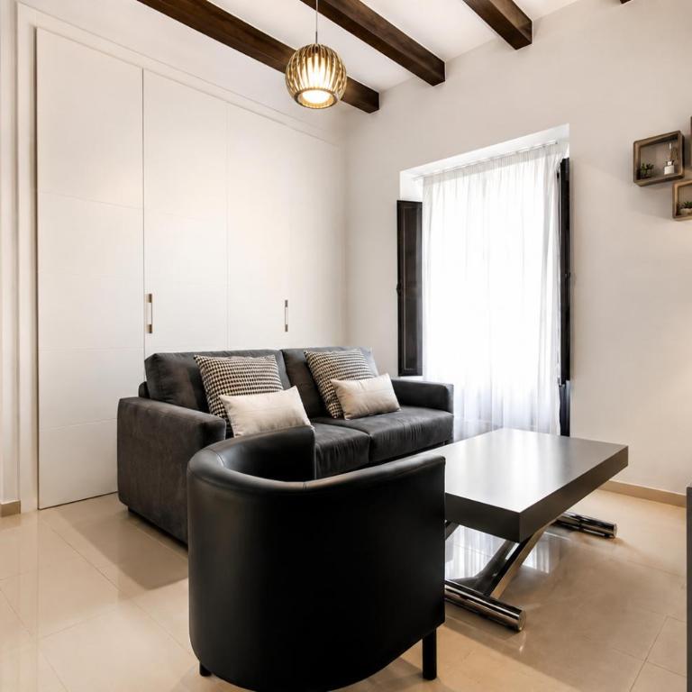 Apartamentos Plaza Nueva - Apartamento Superior de 1 dormitorio - 7