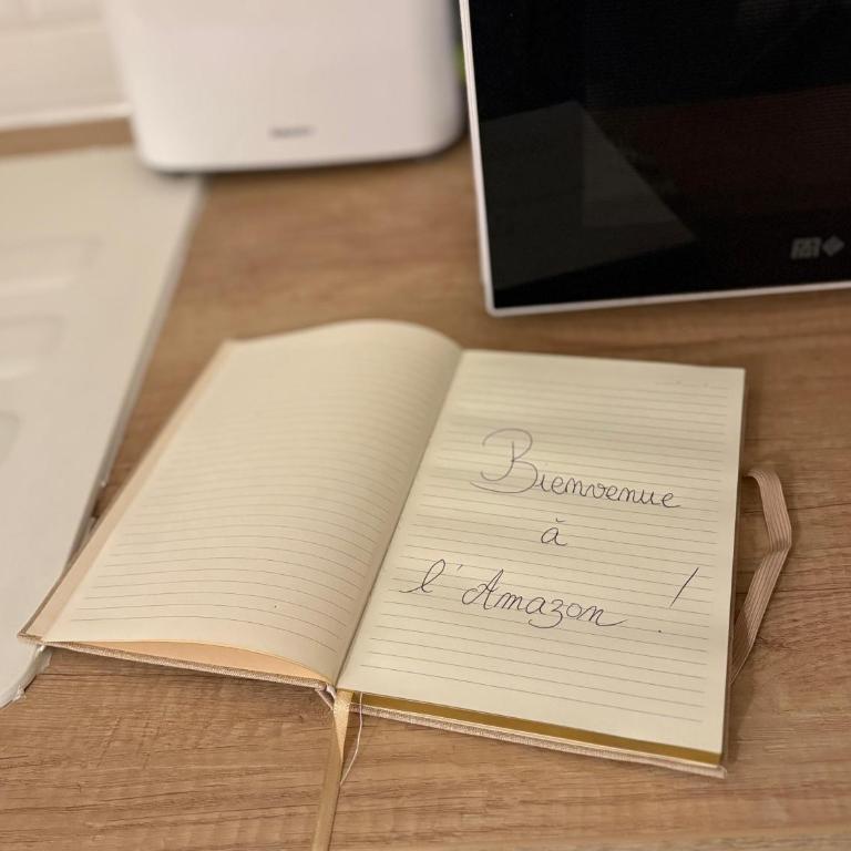 Amazone 1 Studio Cosy Centre & Plages Clim Wifi Top ProsConciergerie - Studio - 12