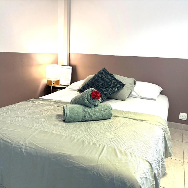 Amazone 1 Studio Cosy Centre & Plages Clim Wifi Top ProsConciergerie - Studio - 6