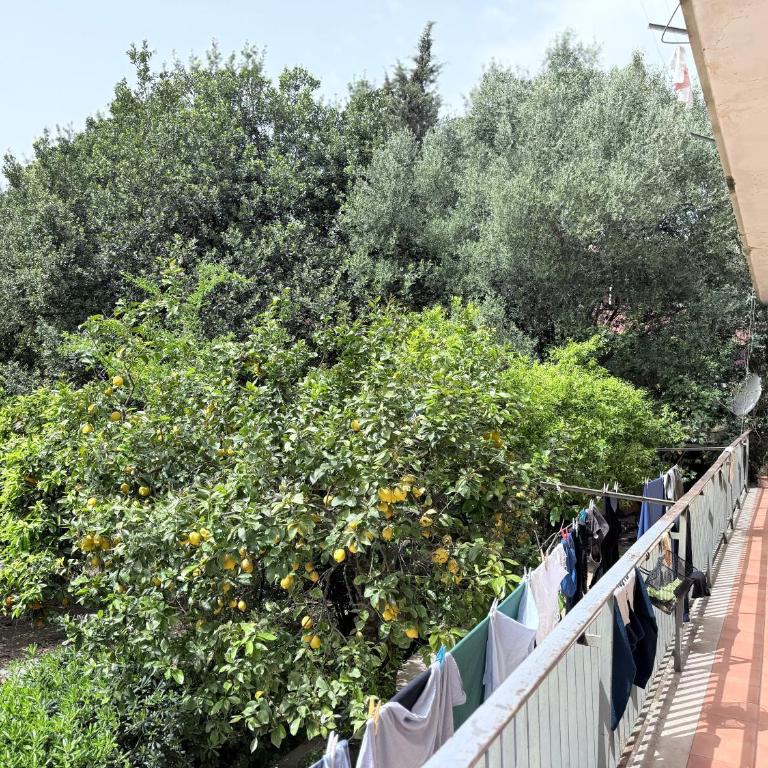 Casa vacanze da Gali - Apartamento con vistas al jardín - 59