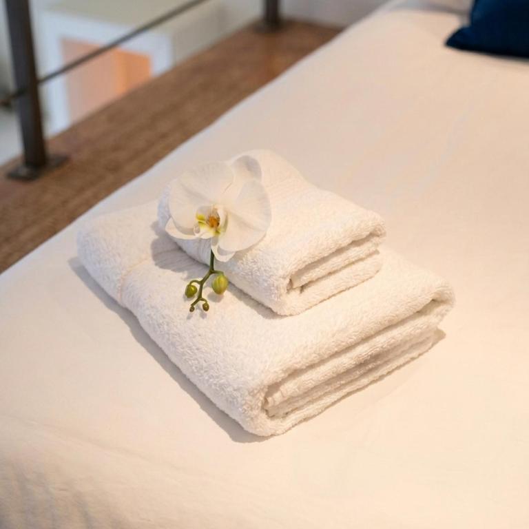 Comme sur un bateau Centre ville Mer & Etang - Appartement 1 Chambre - 5