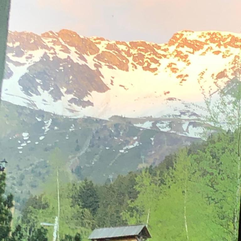 Studio Montagne face aux pistes - Apartamento de 1 dormitorio - 3