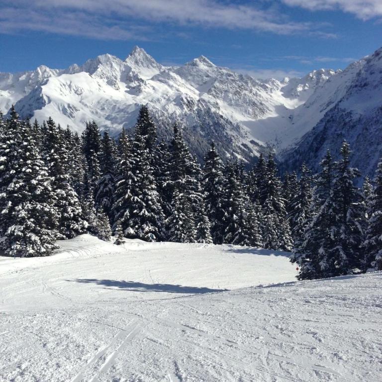 Studio Montagne face aux pistes - Apartamento de 1 dormitorio - 12