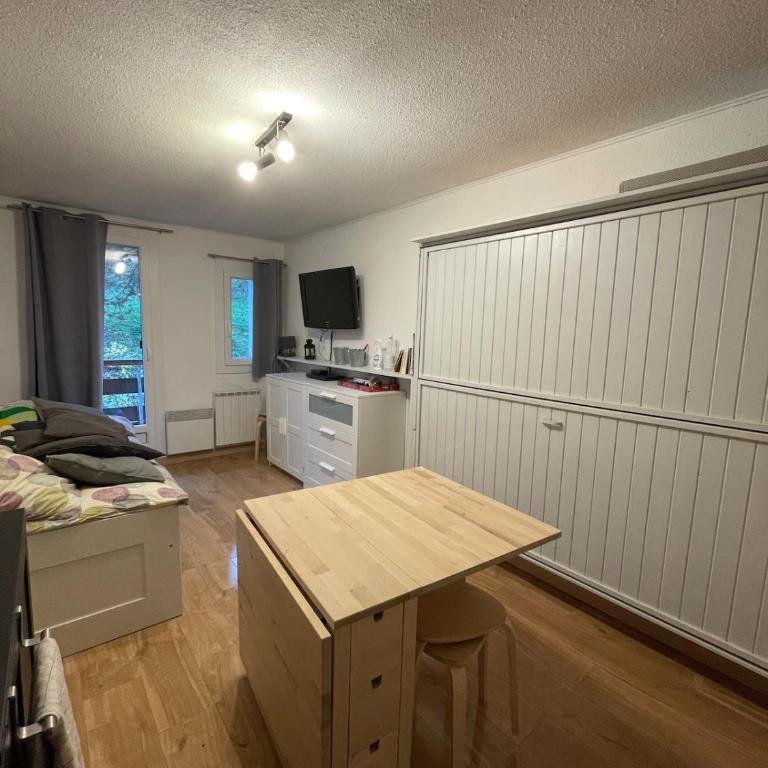 Studio Montagne face aux pistes - Apartamento de 1 dormitorio - 14